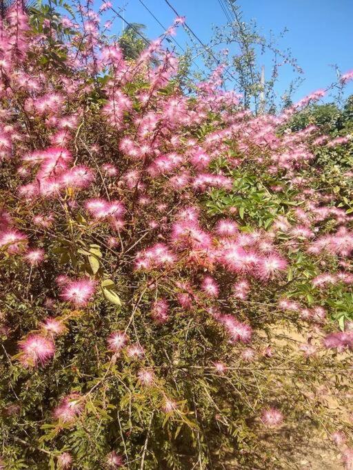 Santo Antônio do Leite Chale Aconchegante Em Estancia Climatica מראה חיצוני תמונה